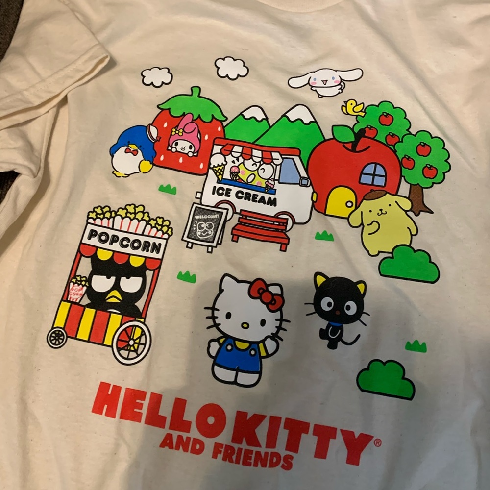 NEW Hello Kitty & Friends T Shirt